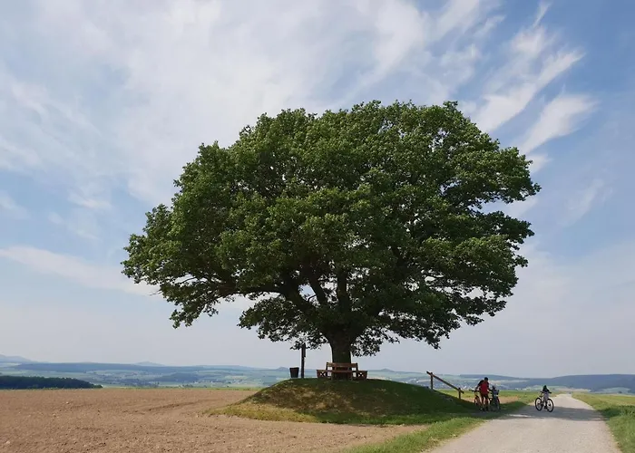 Hofmeyer Hébergement de vacances Hofgeismar